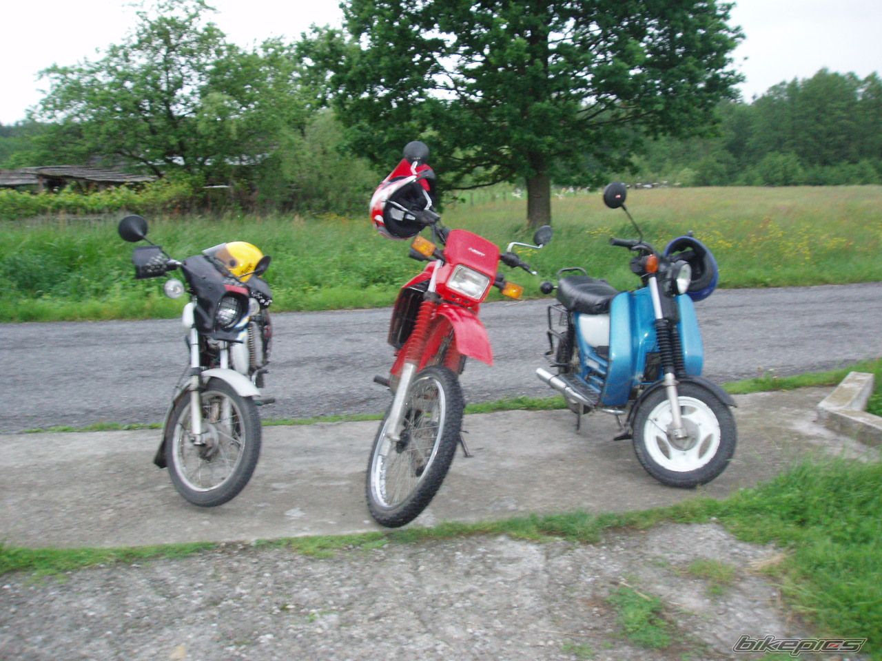 Photo 620272