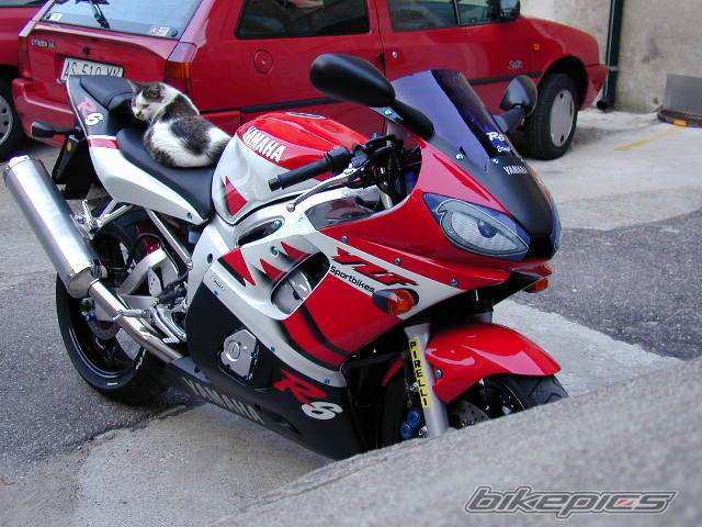 Bike Photo 6206