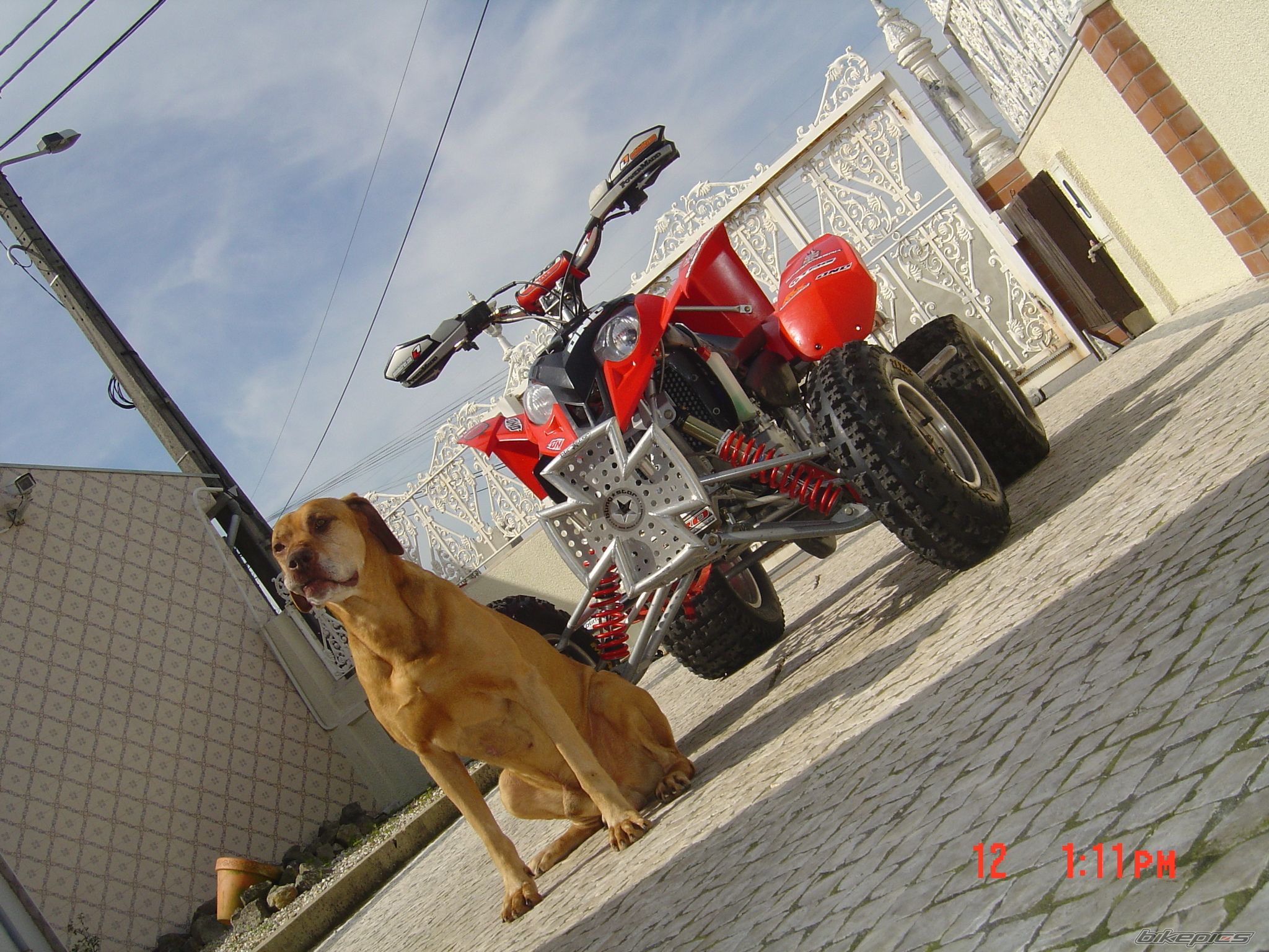 Photo 620934