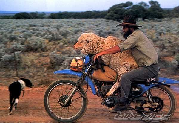 Bike Photo 621040