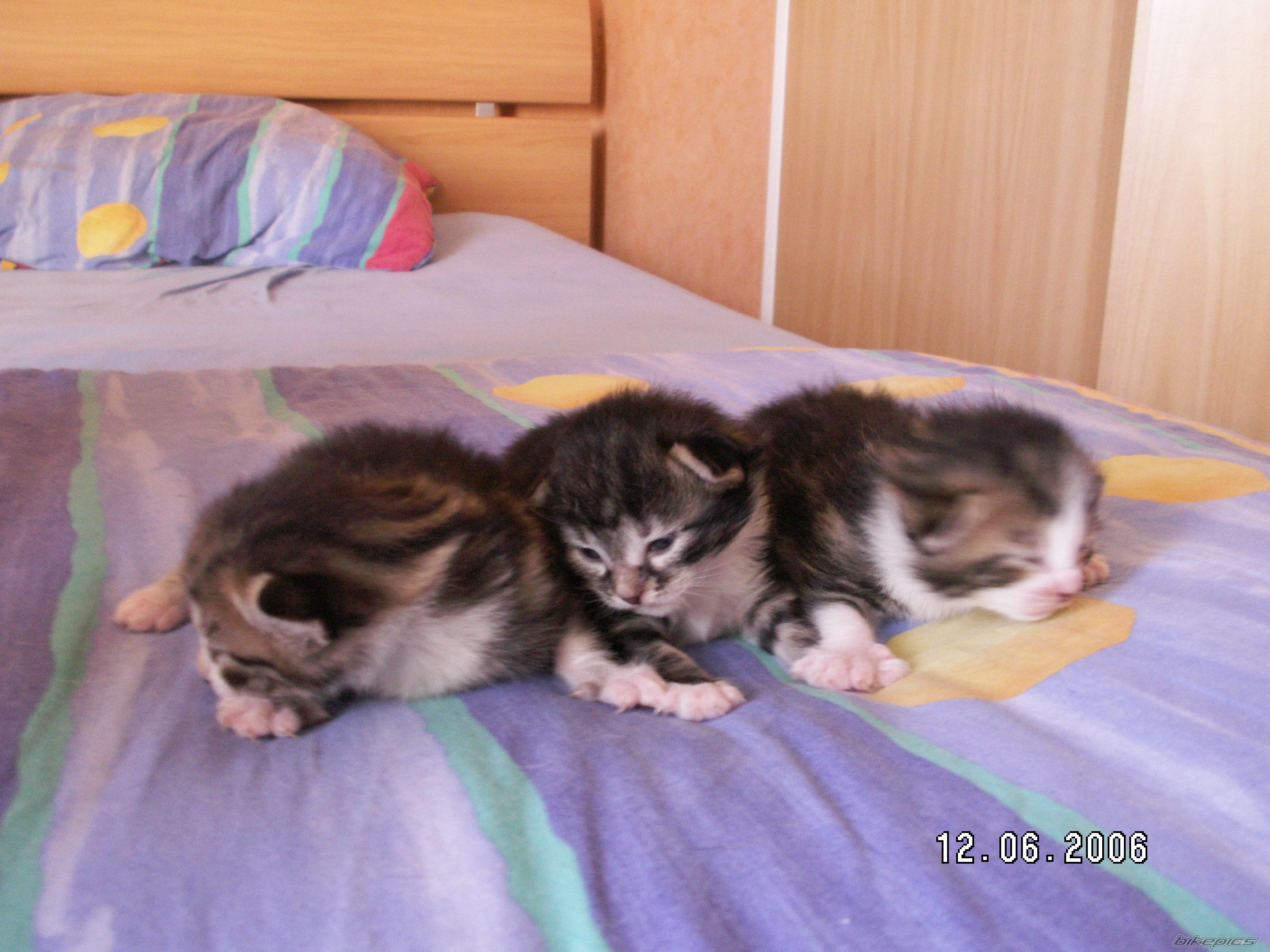 Photo 621209