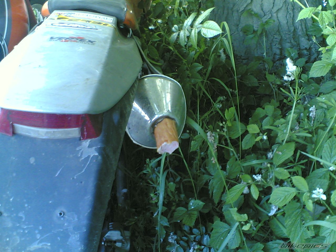 Photo 621427