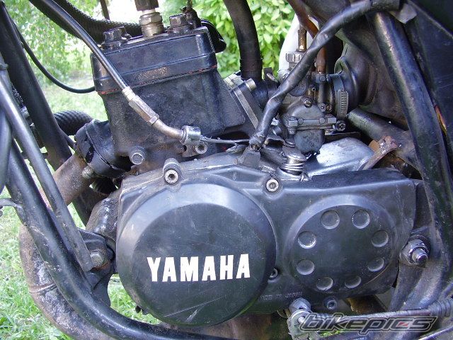 Bike Photo 621498