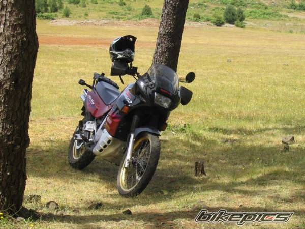 Bike Photo 621531