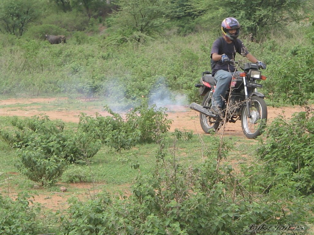Bike Photo 621614
