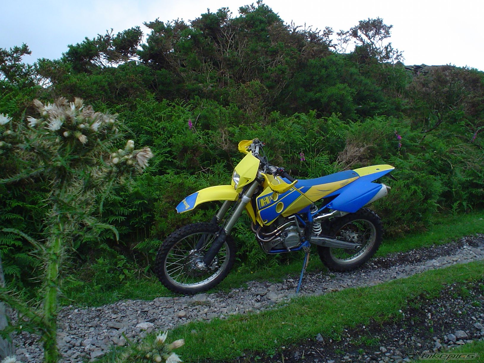 Photo 621639