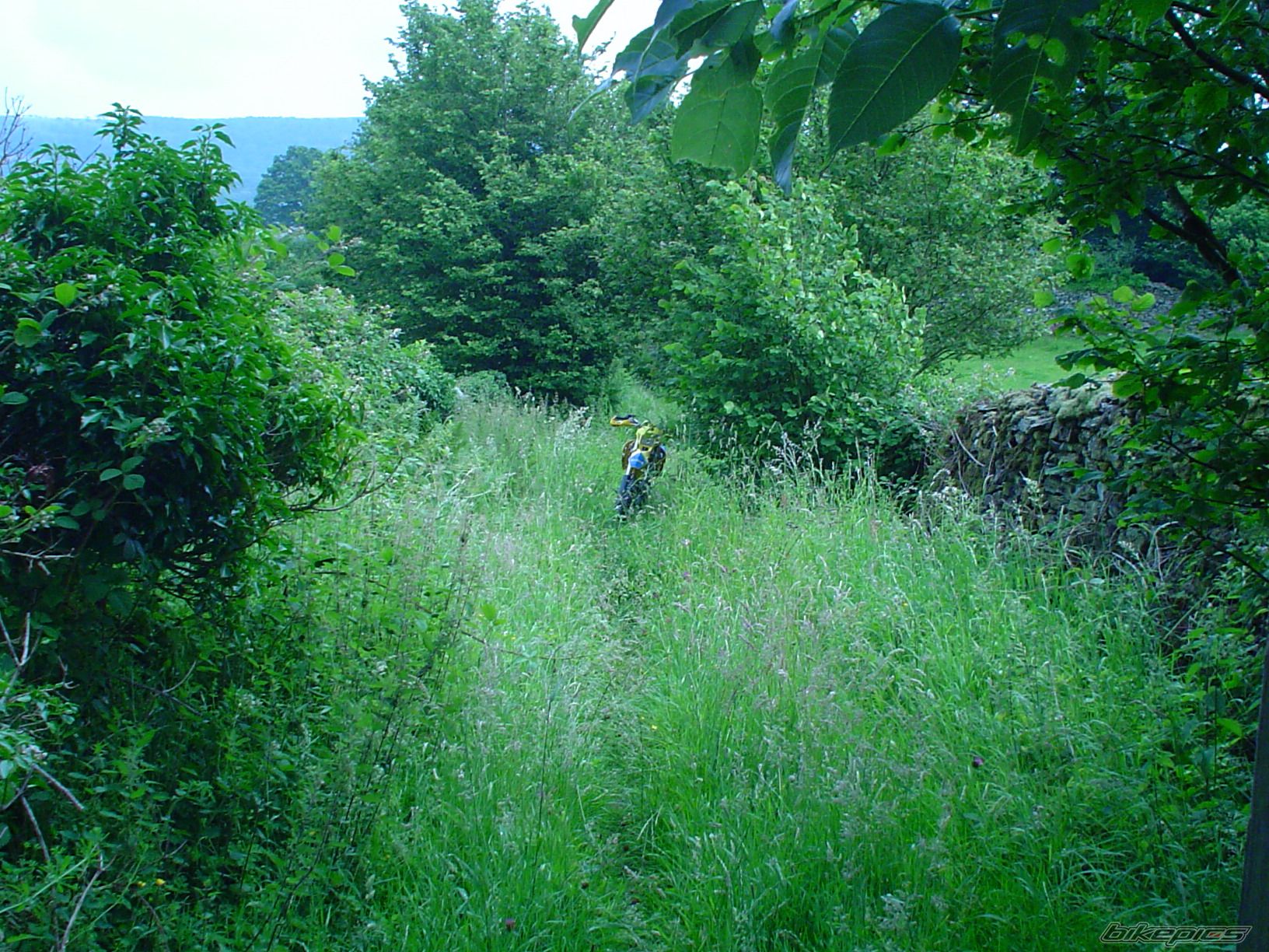 Bike Photo 621655