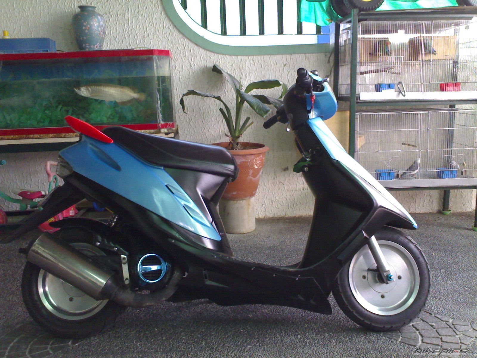 Bike Photo 621881