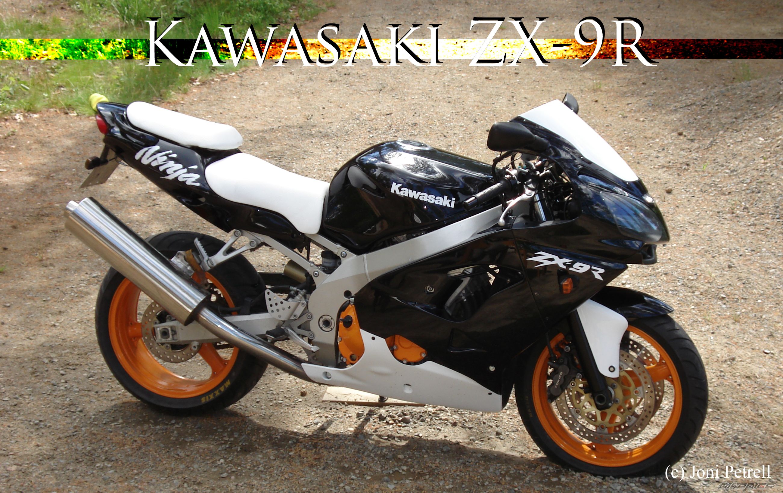 Photo 622069