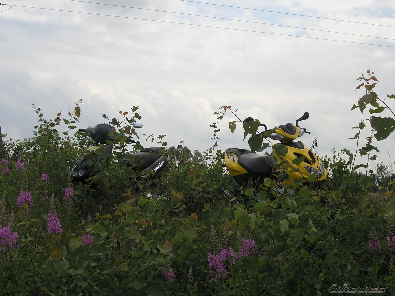 Photo 622167