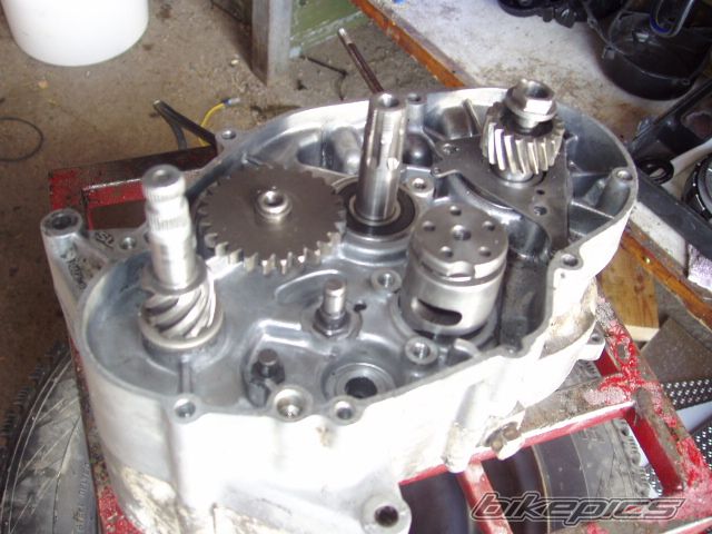 Photo 622360
