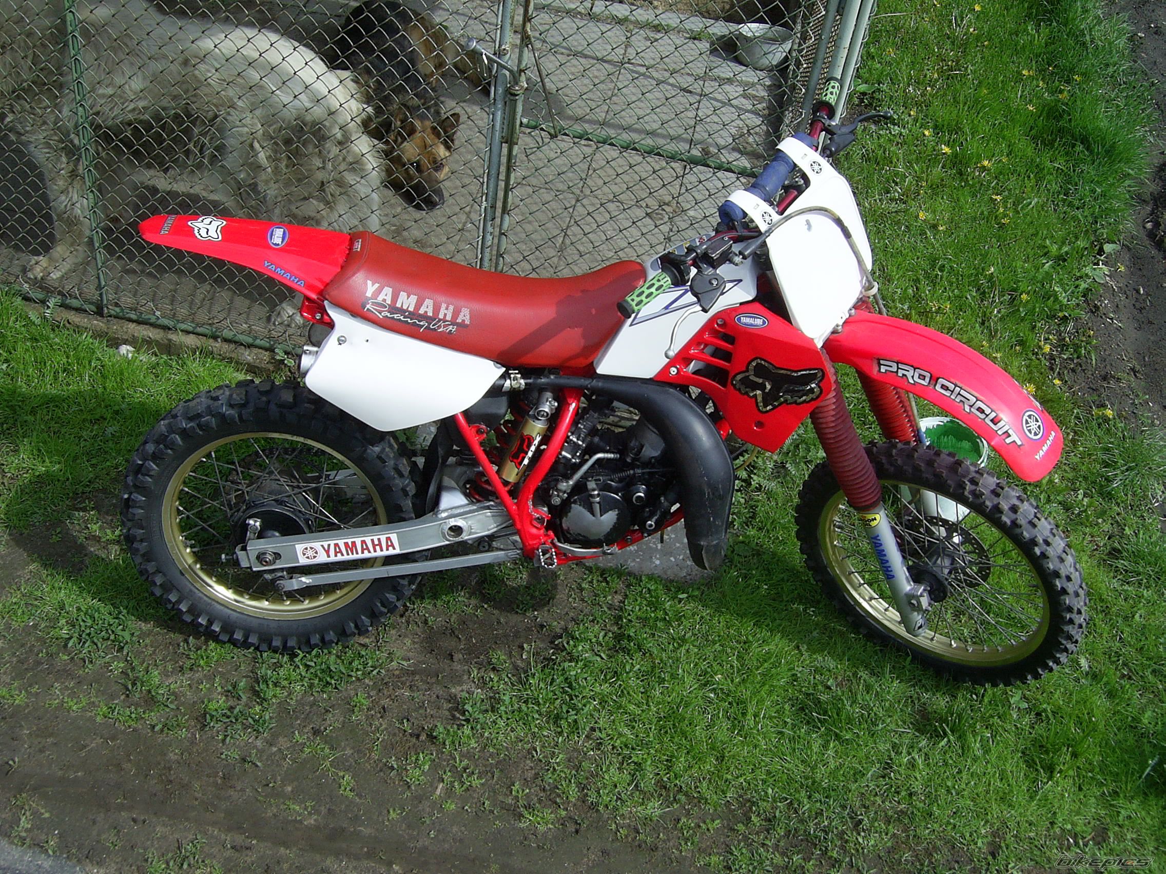 Bike Photo 622422