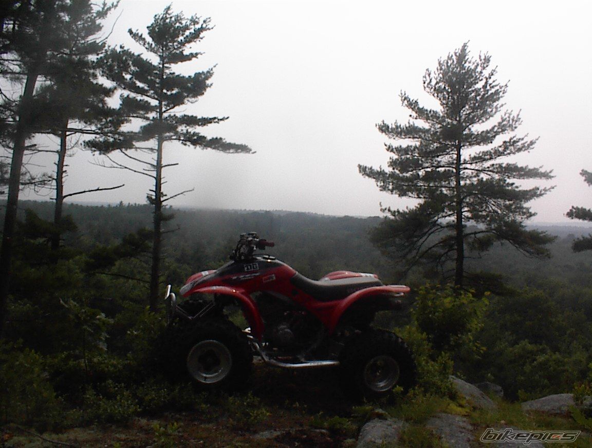 Bike Photo 622446