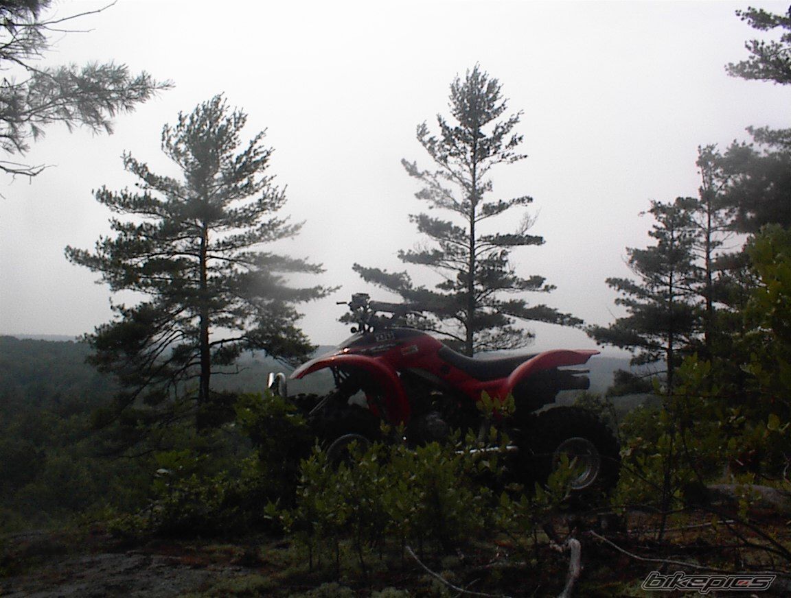 Bike Photo 622447