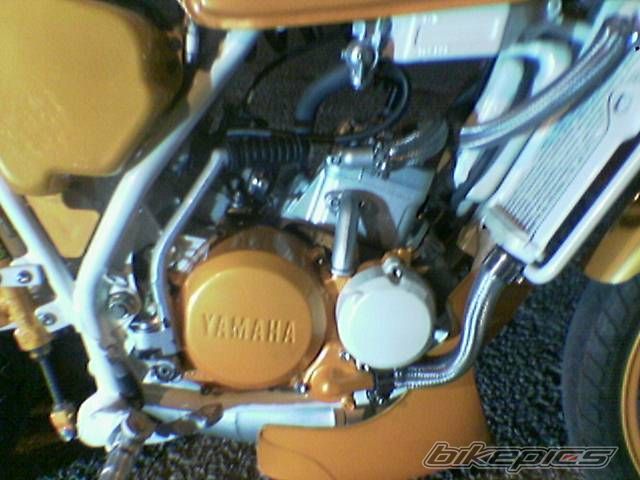 Bike Photo 622592