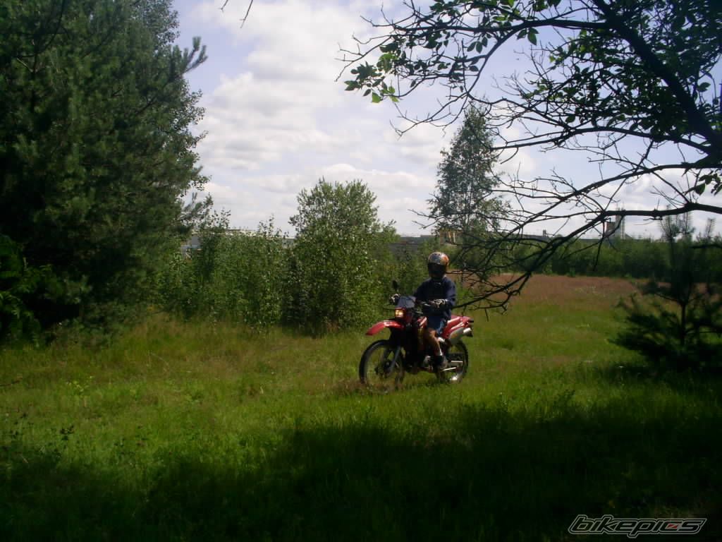 Photo 622863