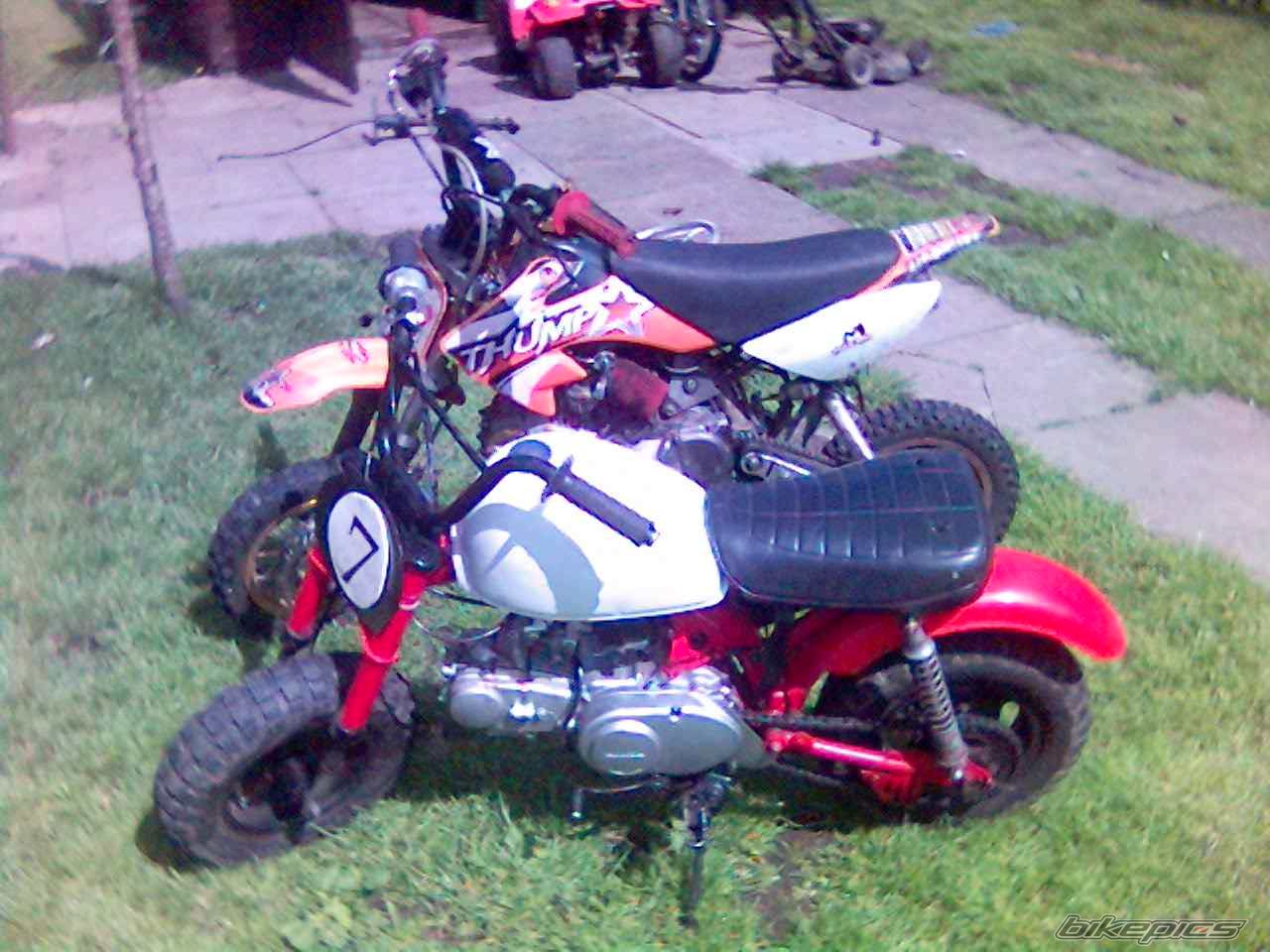 Photo 622958