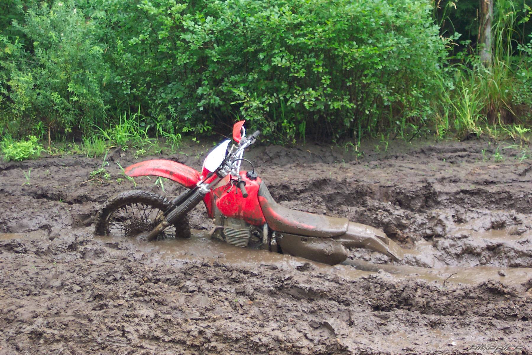 Bike Photo 62312