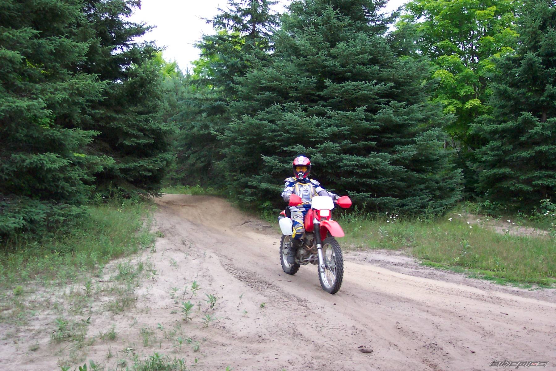 Bike Photo 62316