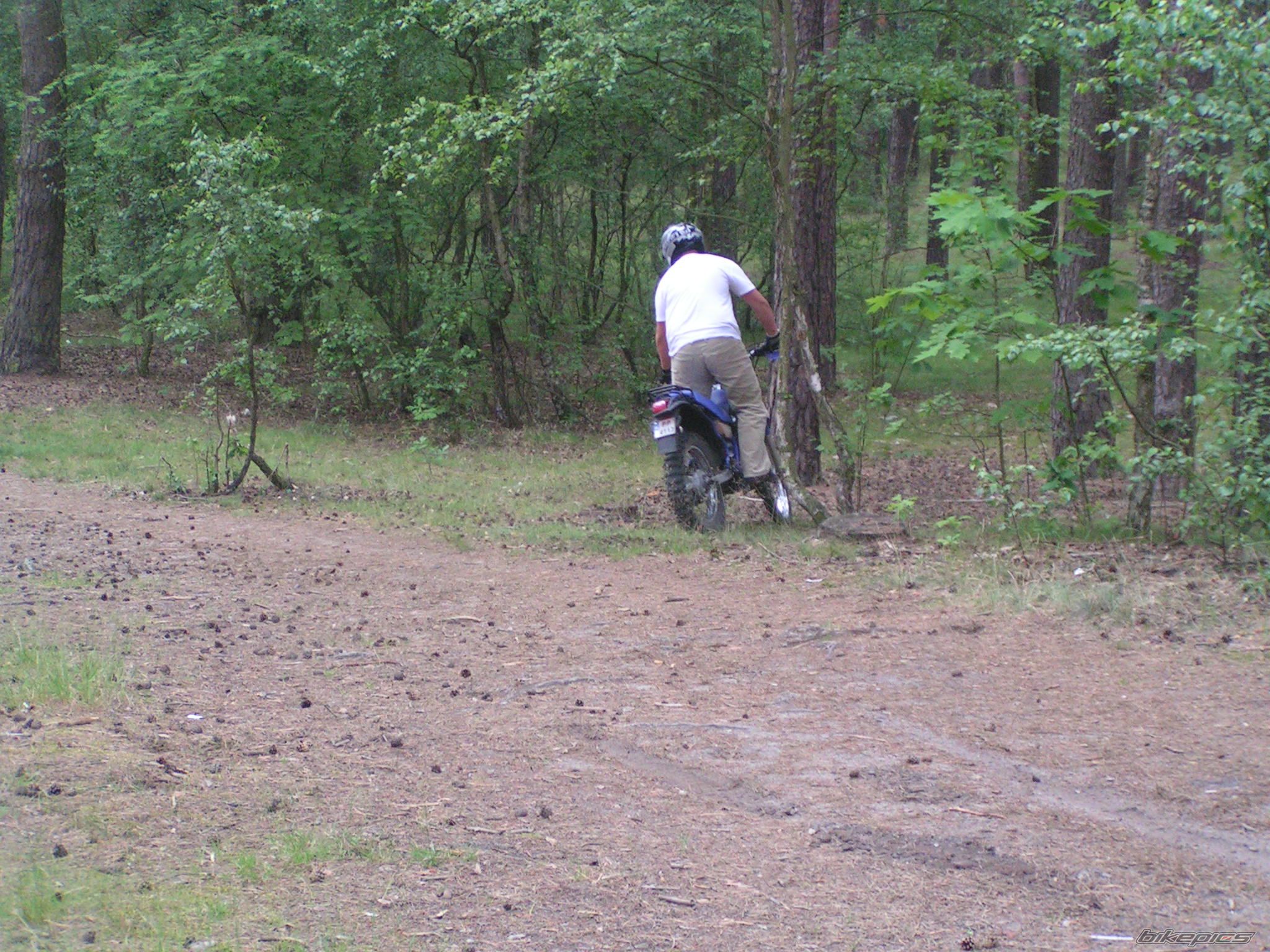 Bike Photo 623183