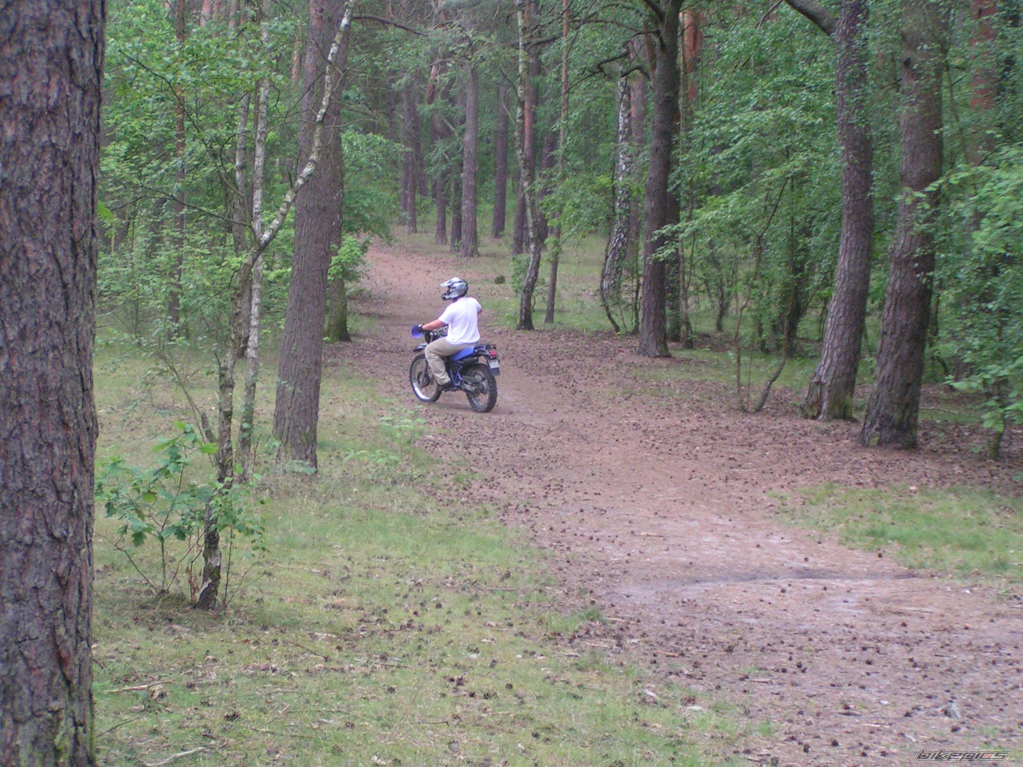 Bike Photo 623187
