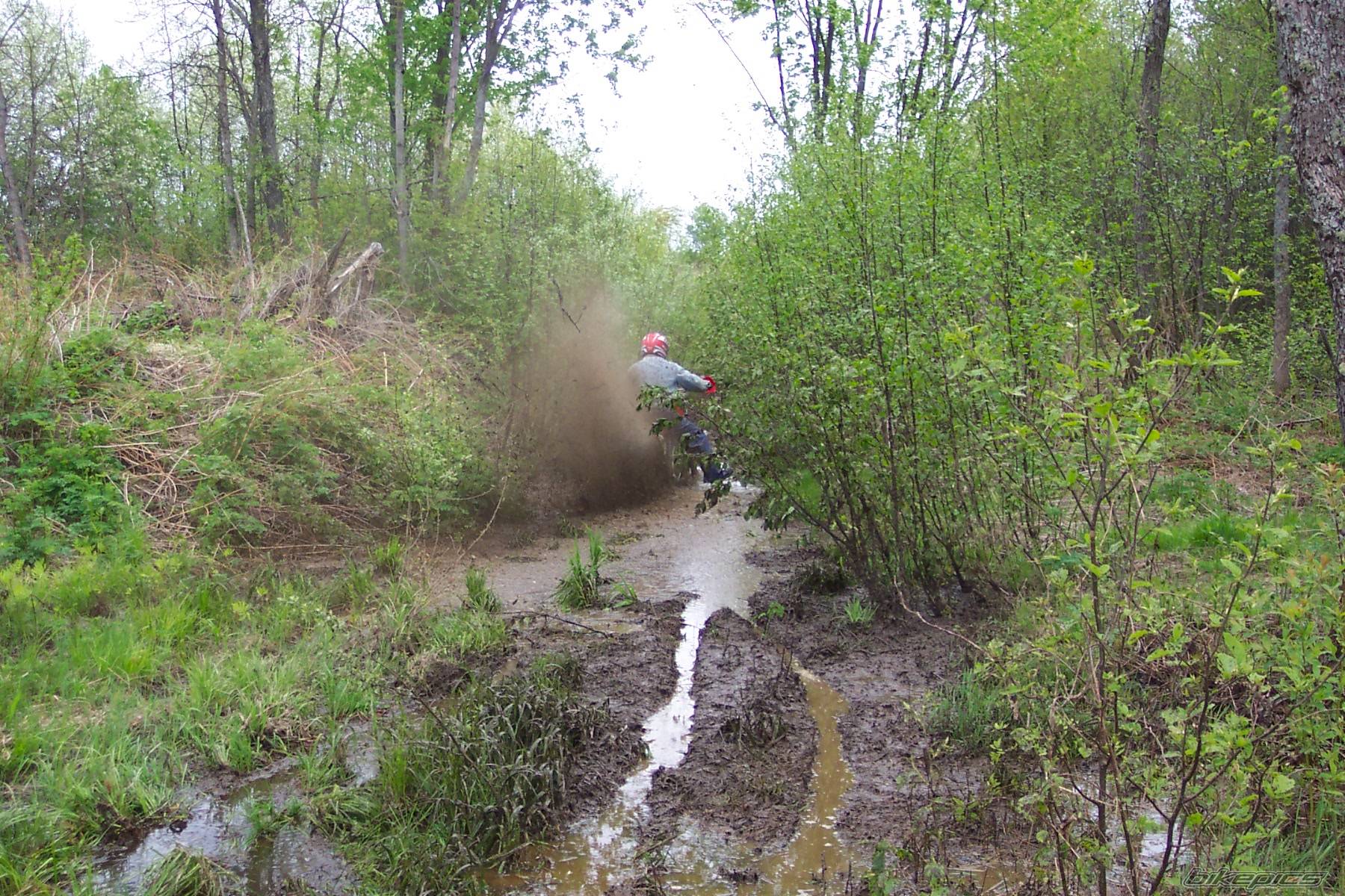 Photo 62325