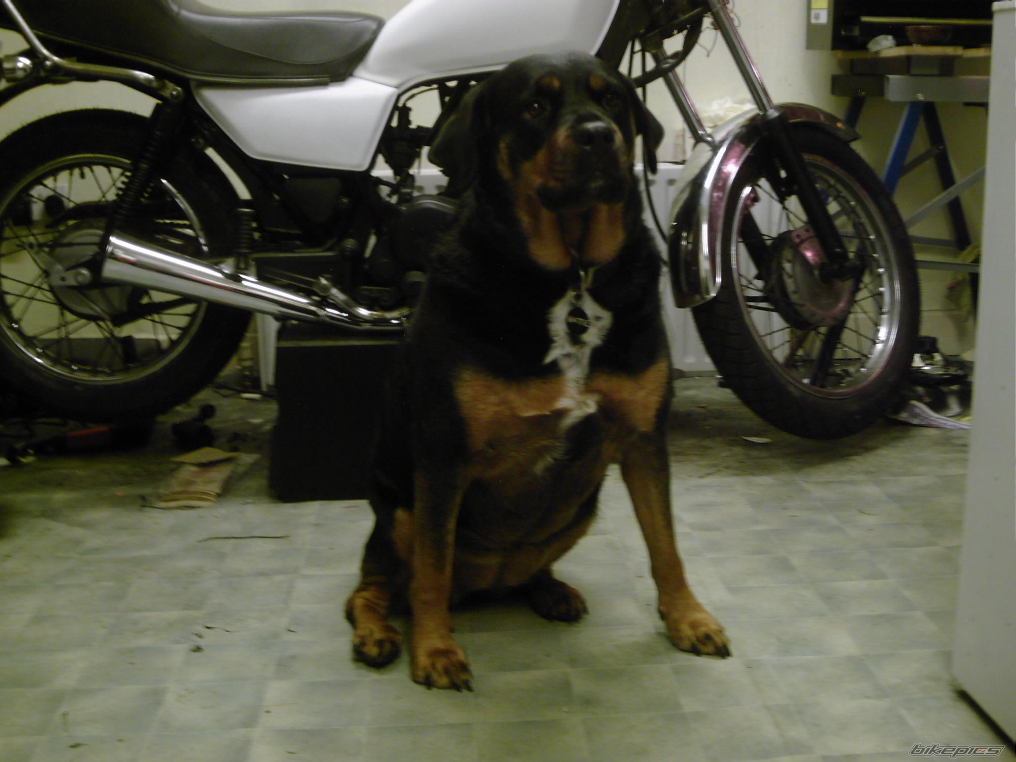 Bike Photo 623303