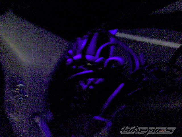 Photo 623396