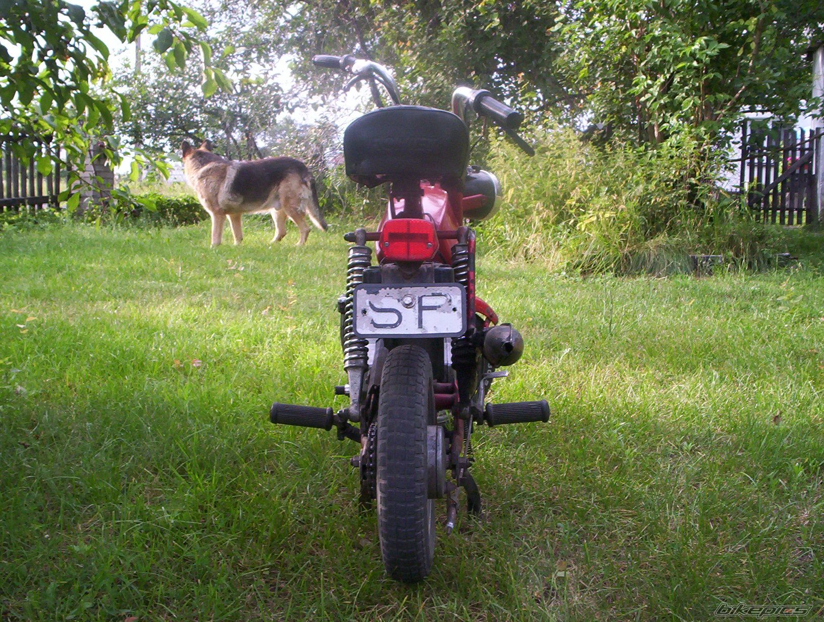 Photo 623548