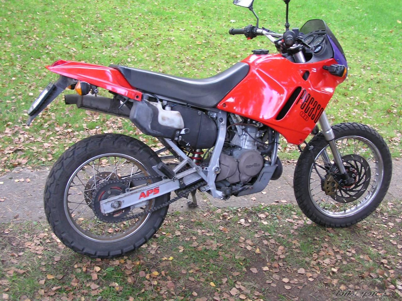 Bike Photo 623641