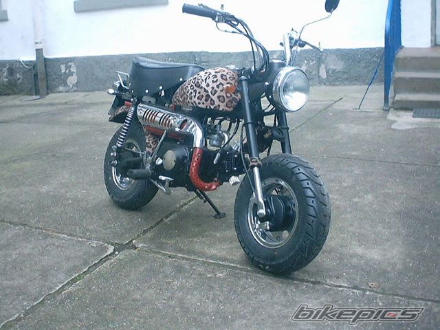 Bike Photo 623899
