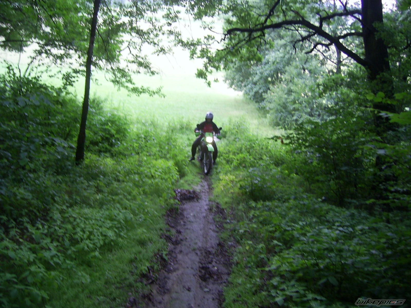 Bike Photo 623954