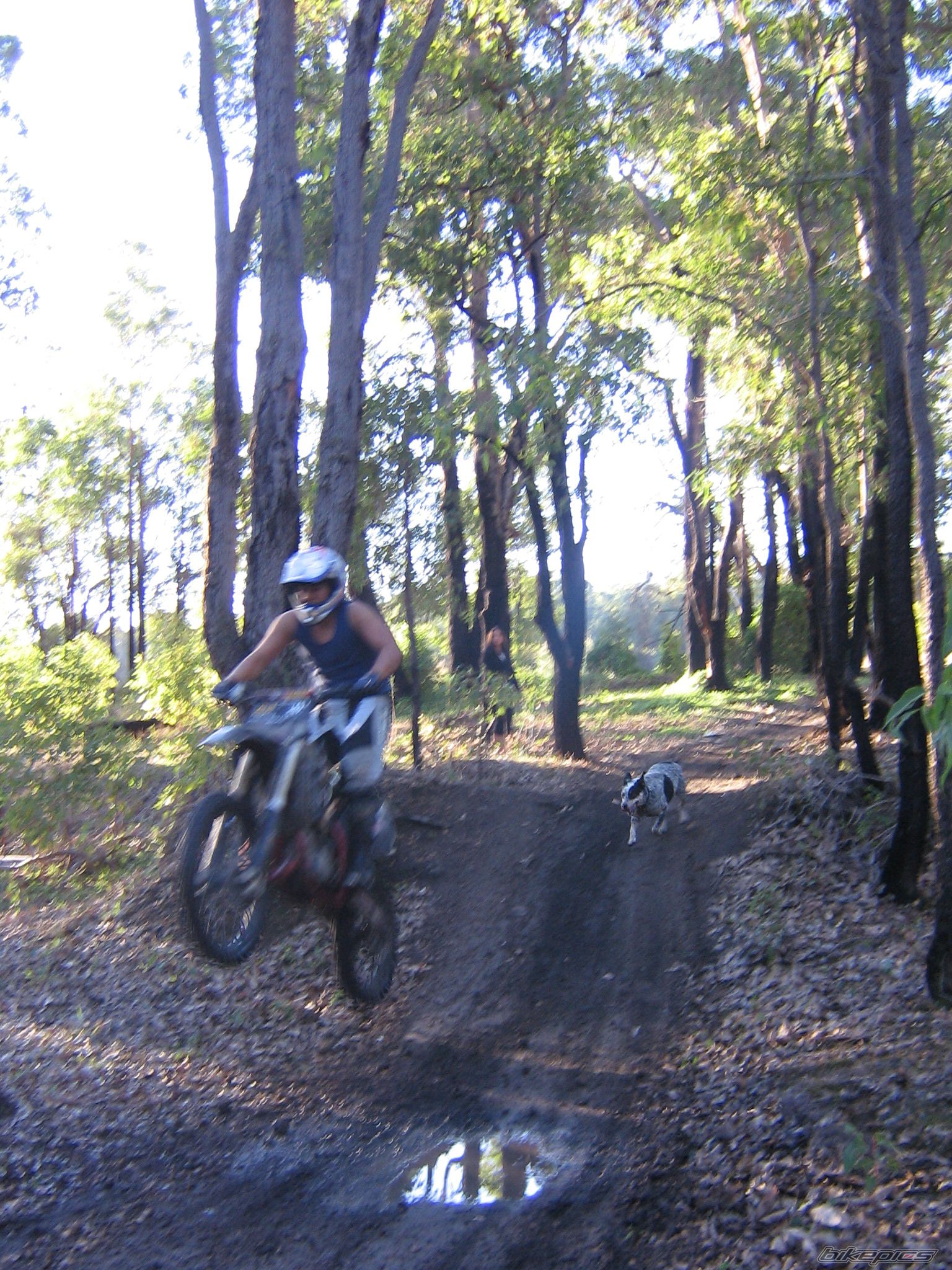Bike Photo 624184
