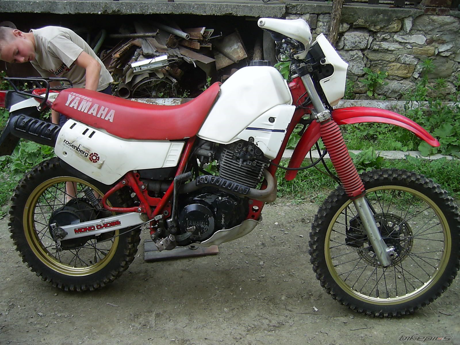 Bike Photo 624305
