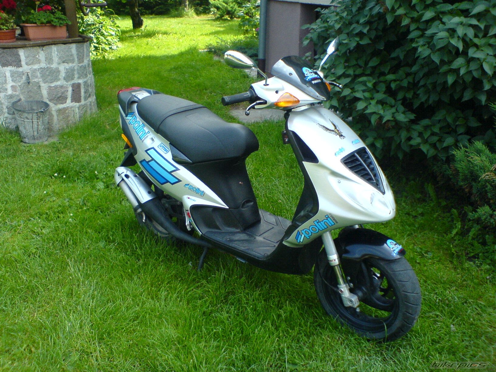 Photo 625394