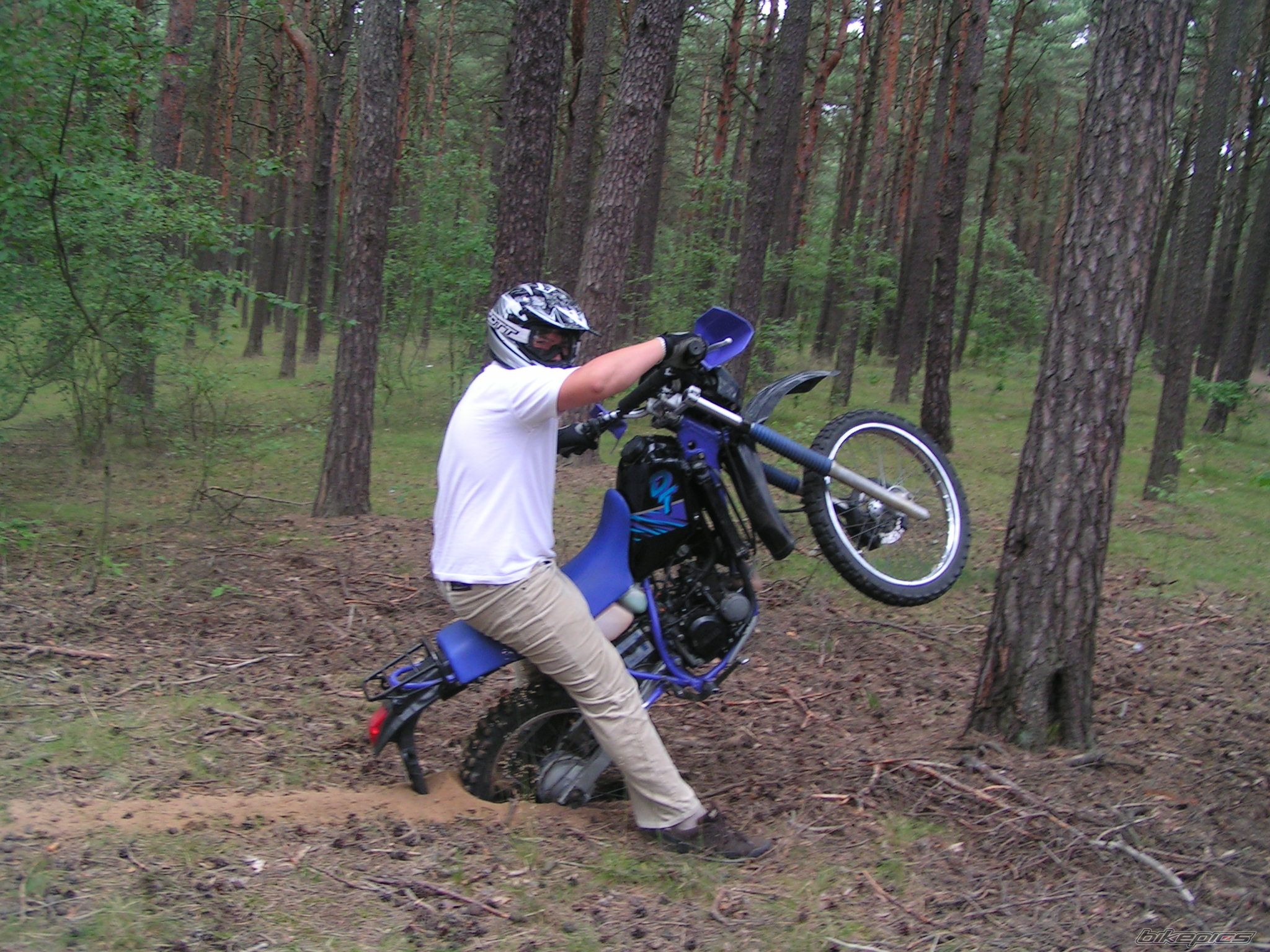 Photo 625652