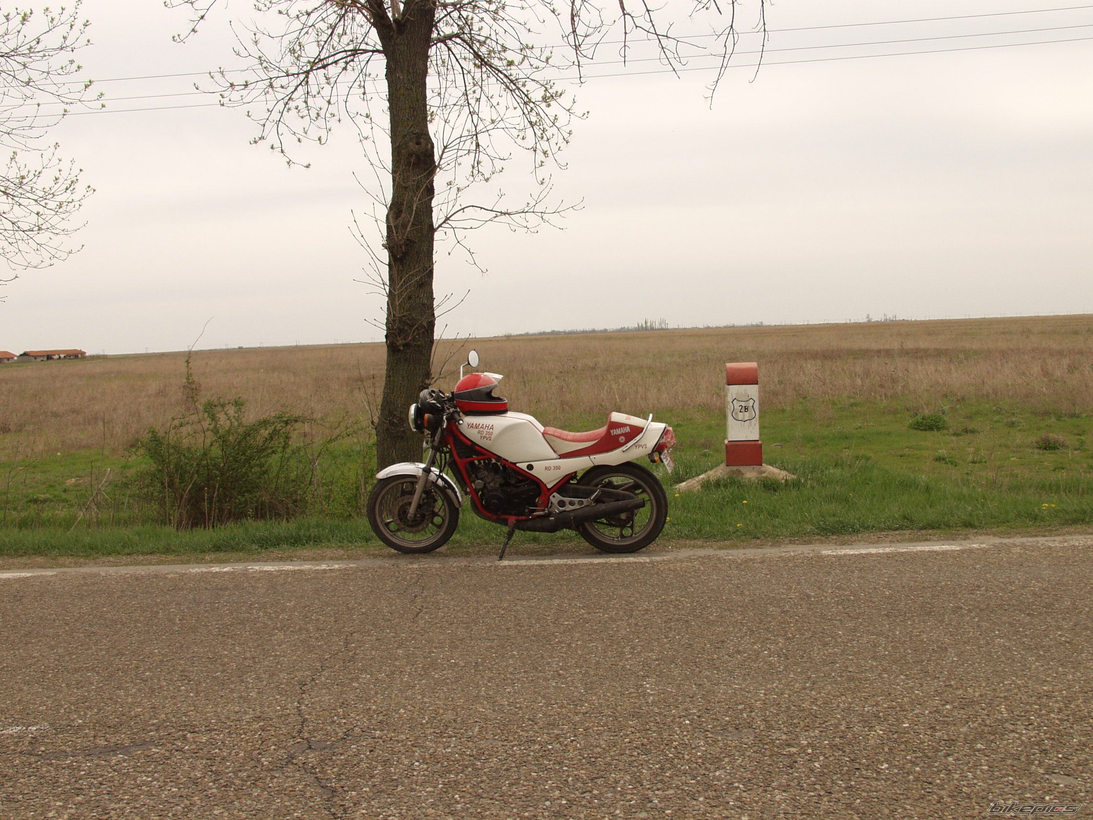 Bike Photo 625751