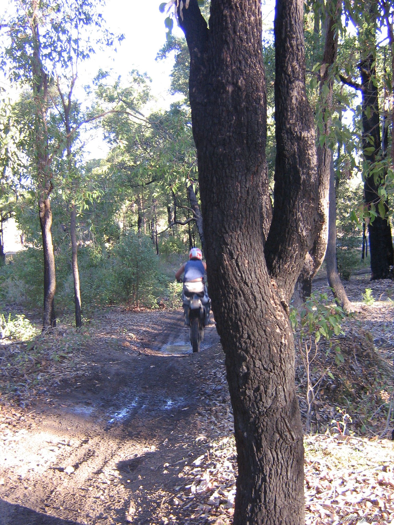 Bike Photo 625798