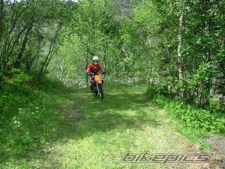 Bike Photo 626027