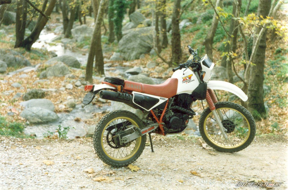 Bike Photo 626747