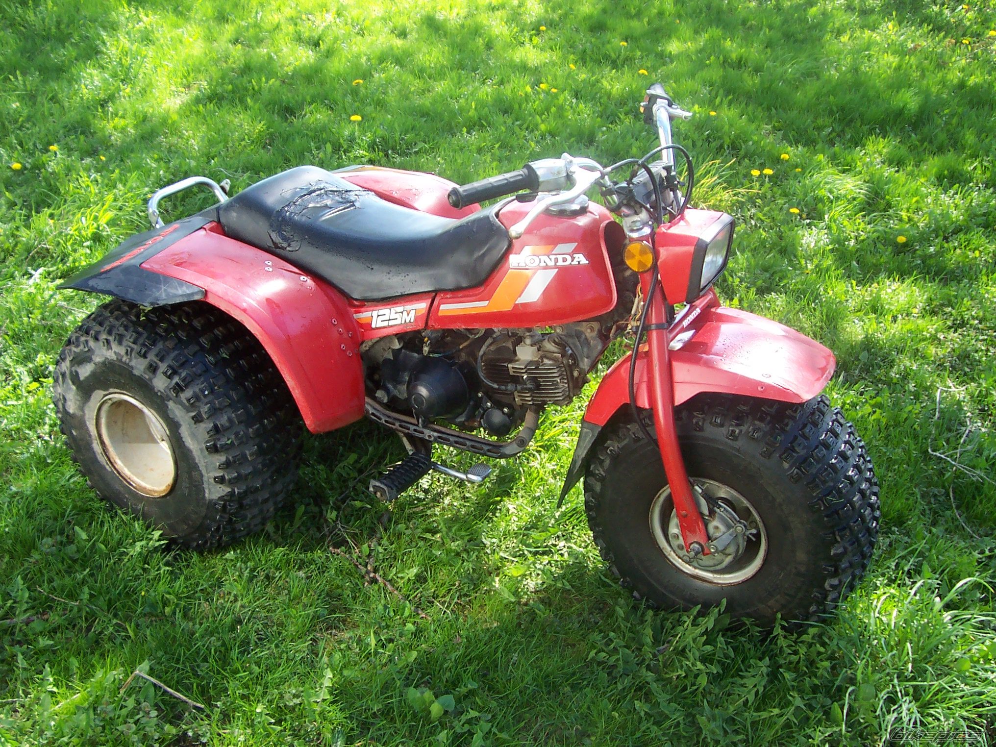 Photo 627969
