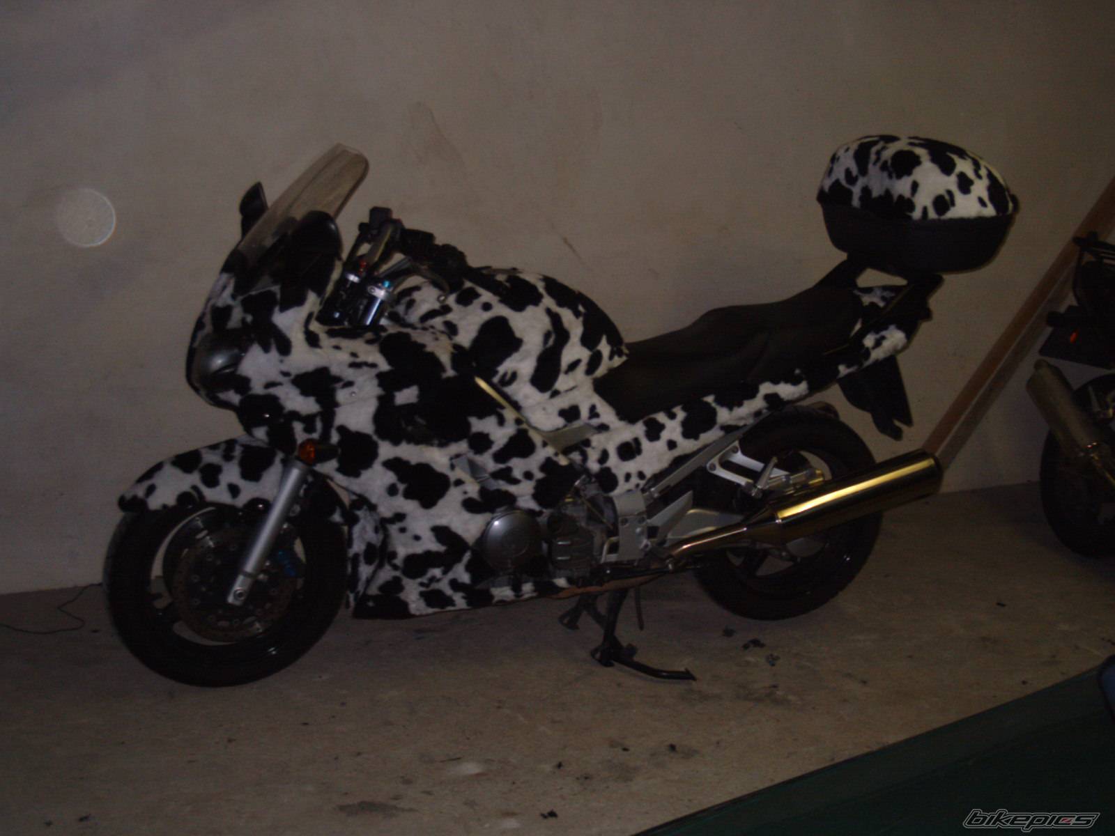 Bike Photo 62859