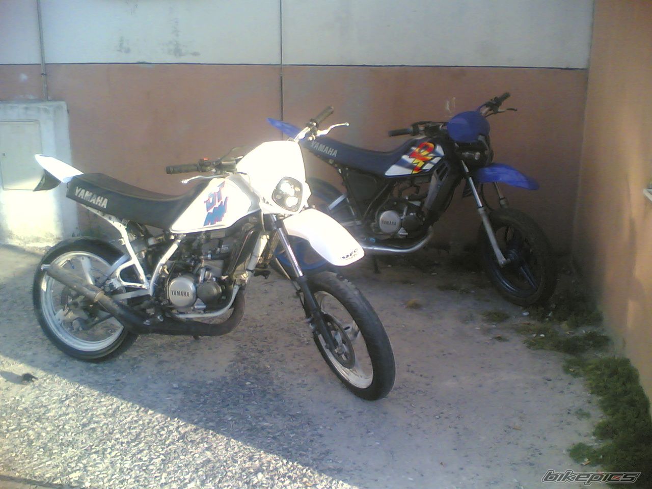 Photo 628829