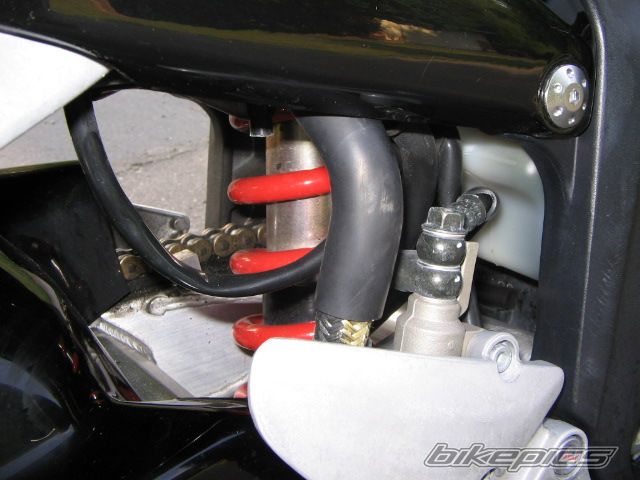 Photo 629025