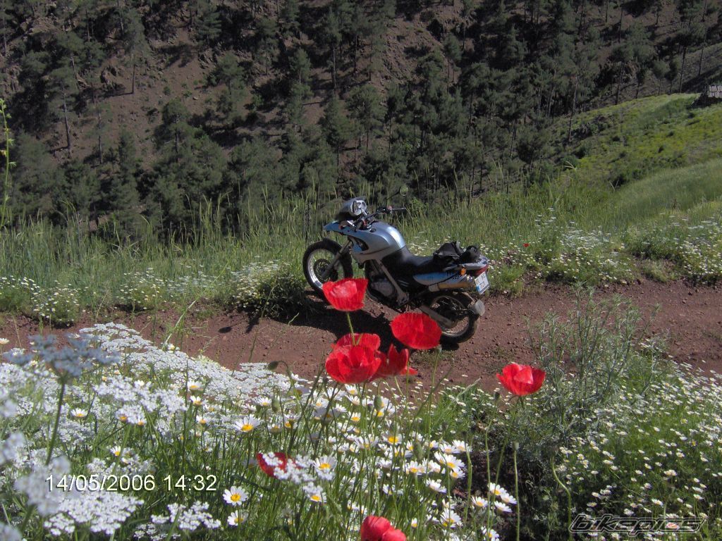 Photo 629216