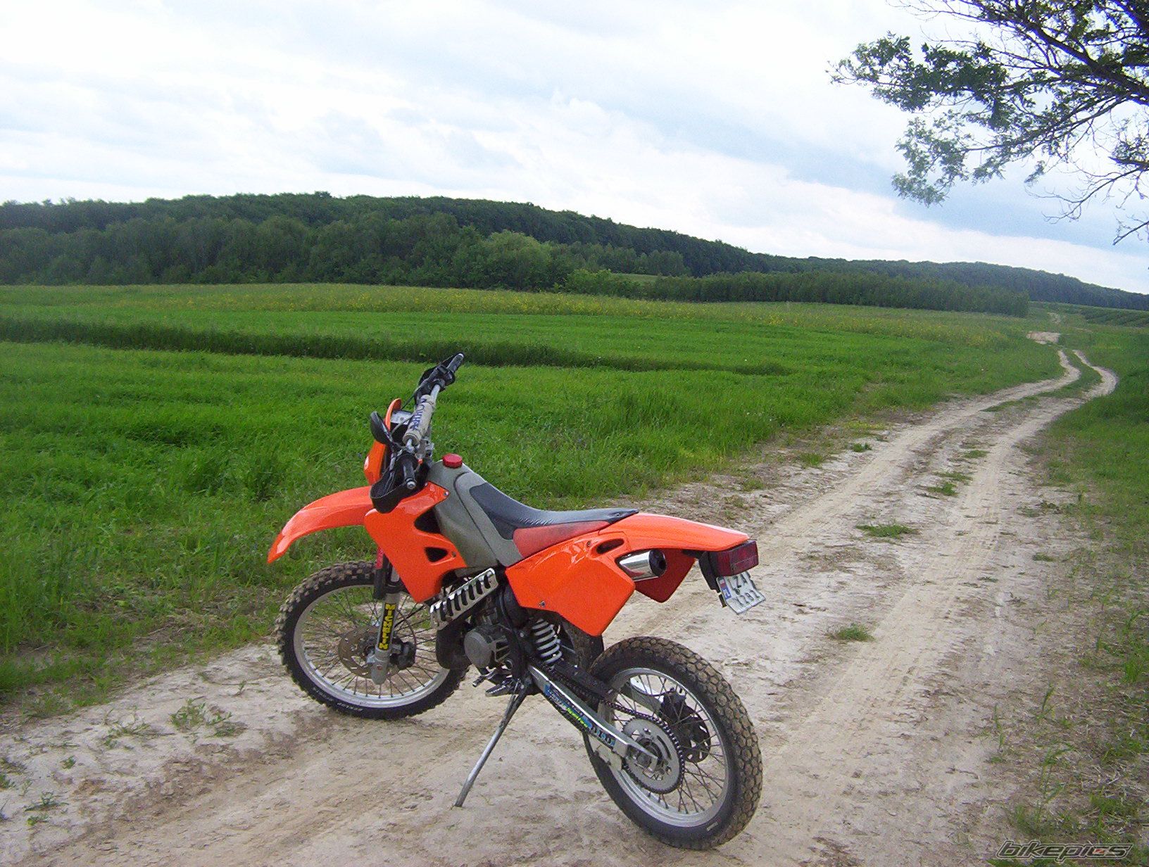 Bike Photo 629504