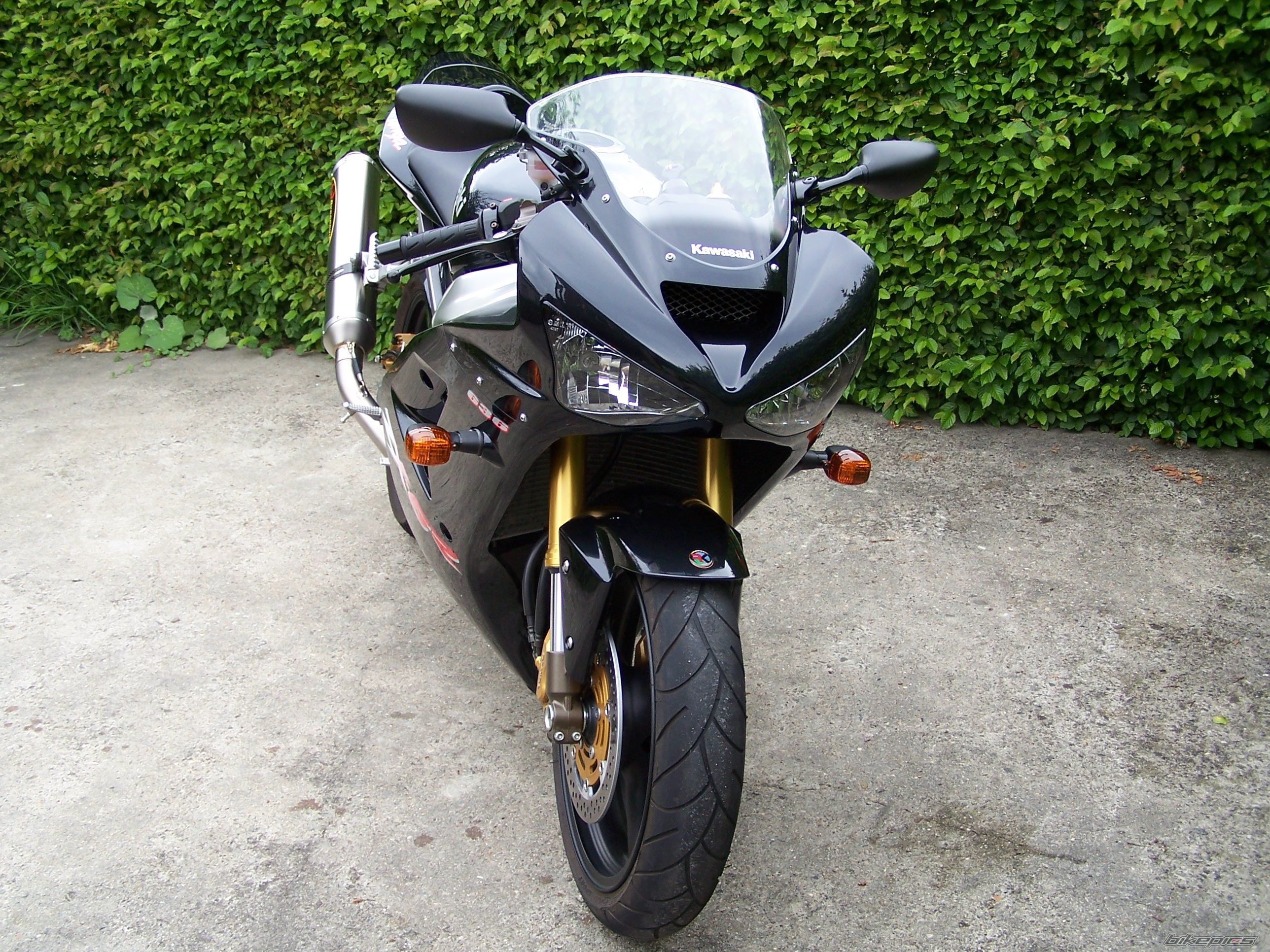 Photo 629694