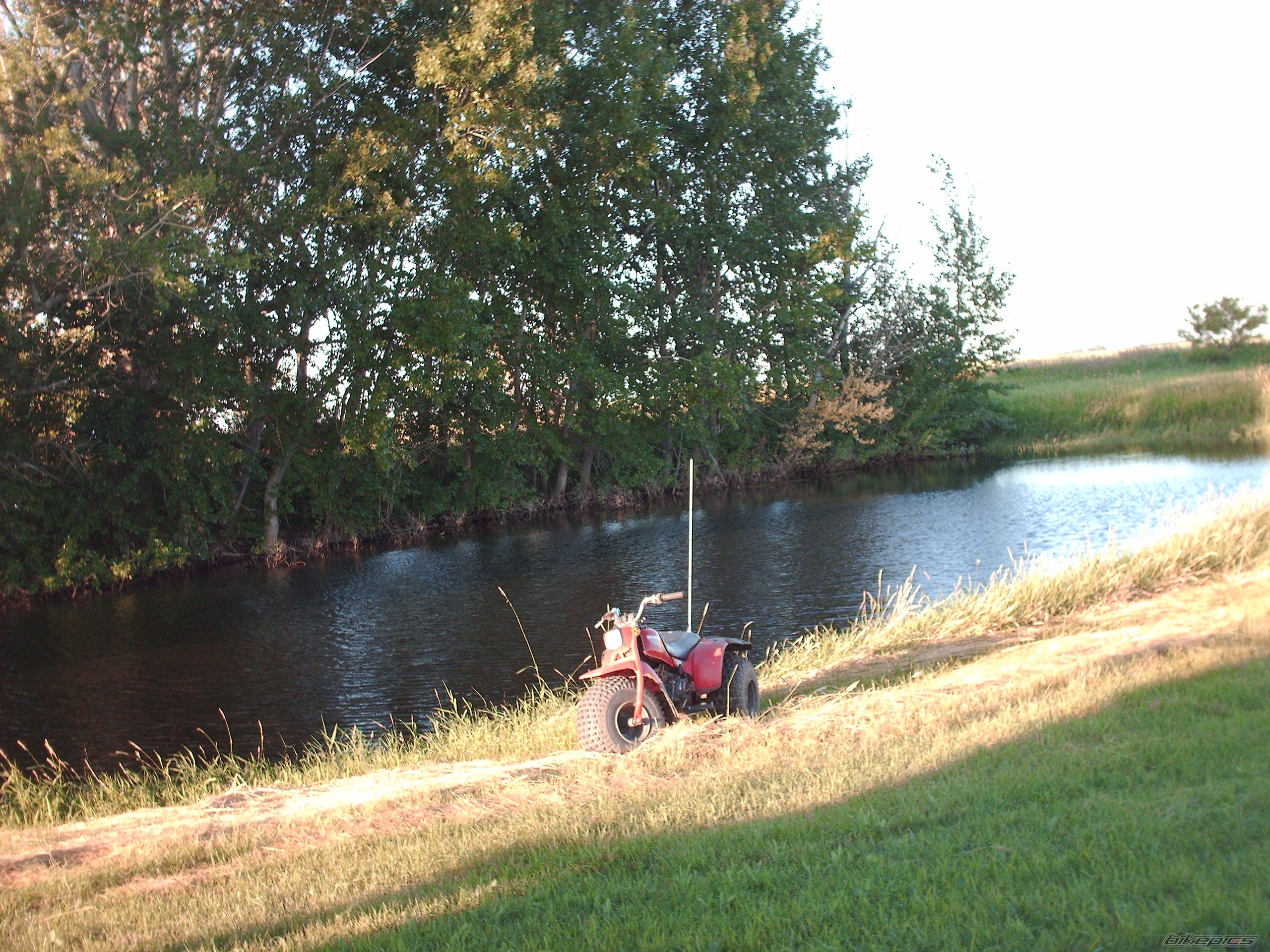 Photo 630141