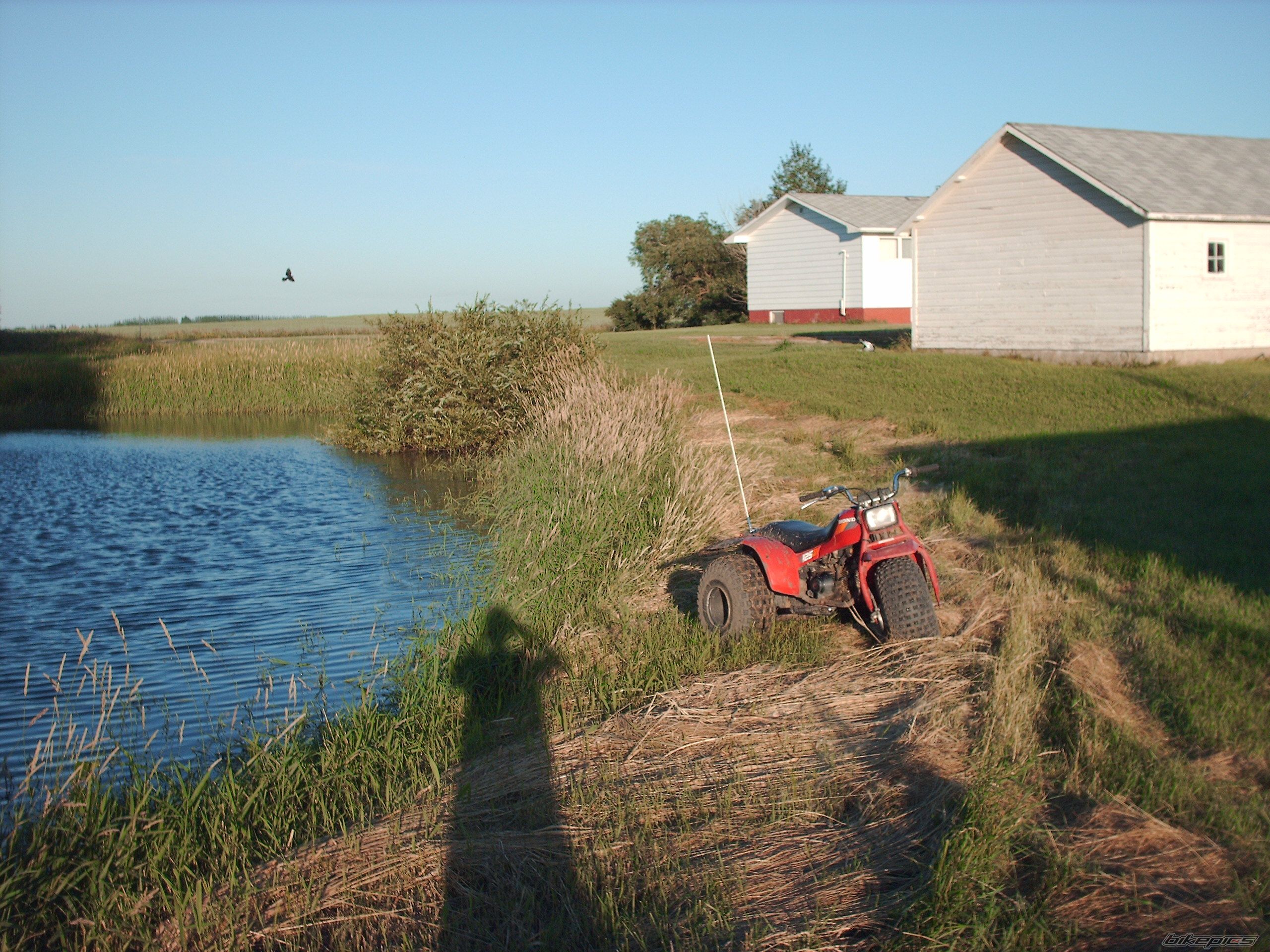 Photo 630142