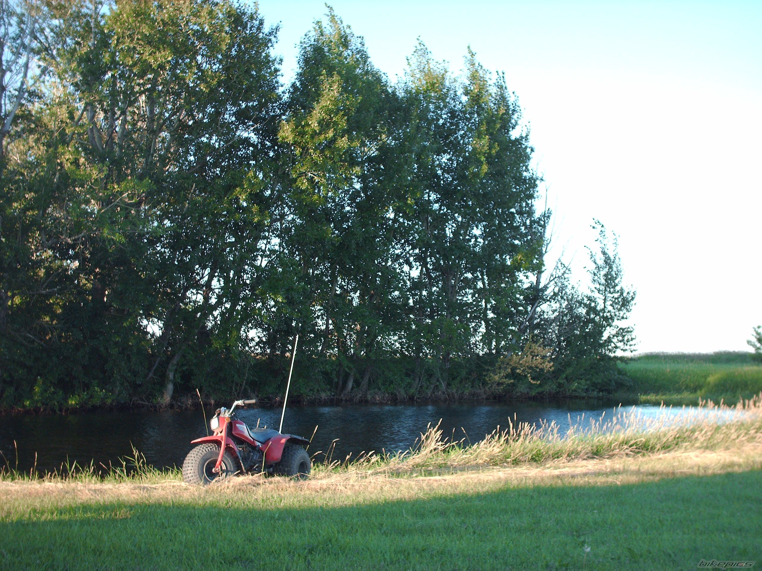 Photo 630144